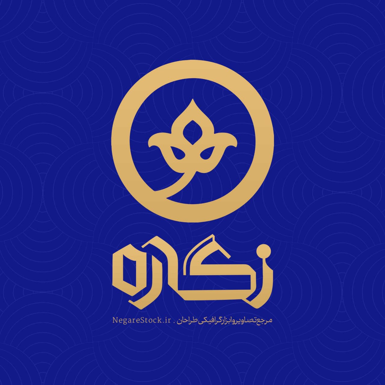 فاطمه راشدی راد